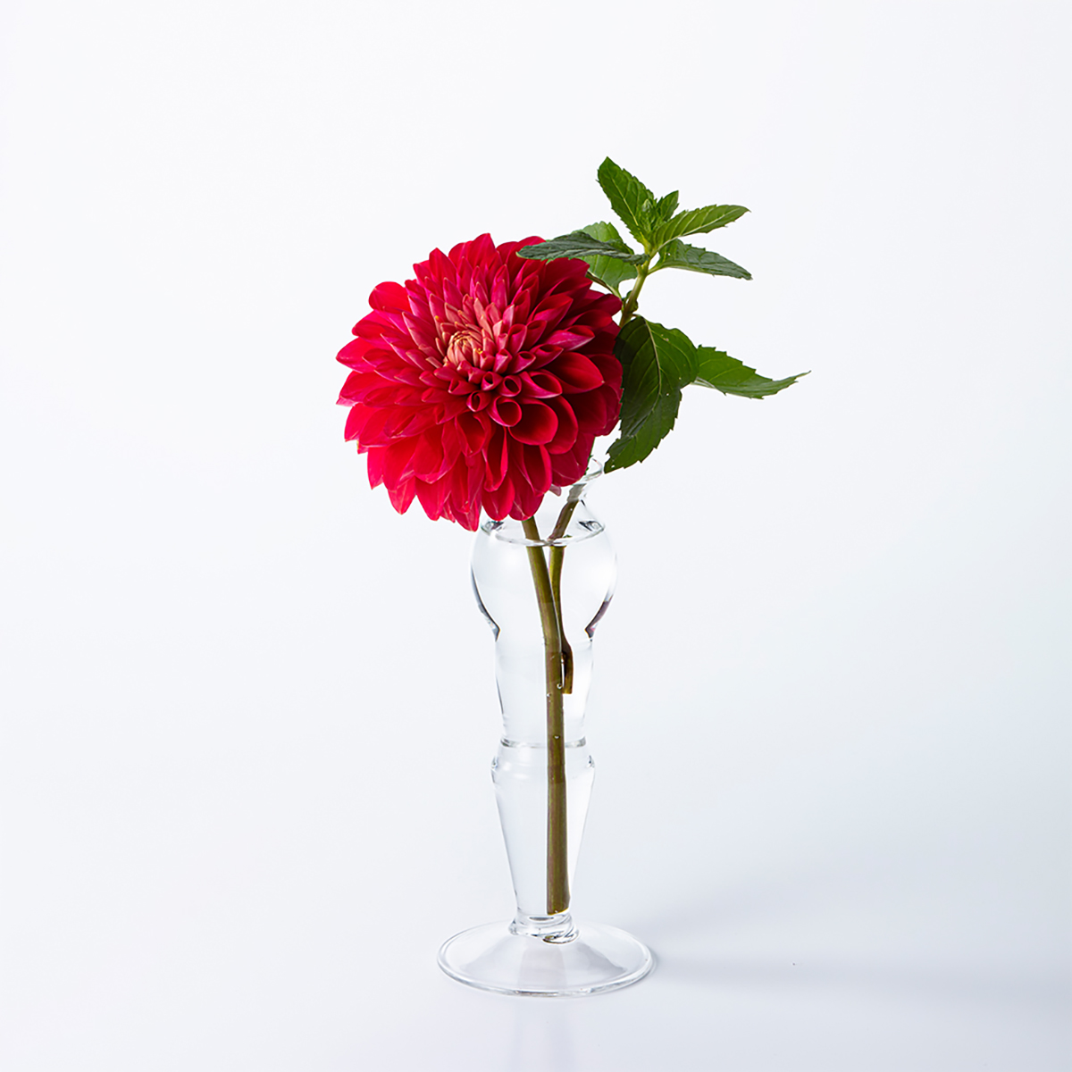 理化学ガラスの花瓶 MEDIFLA ELEGANT