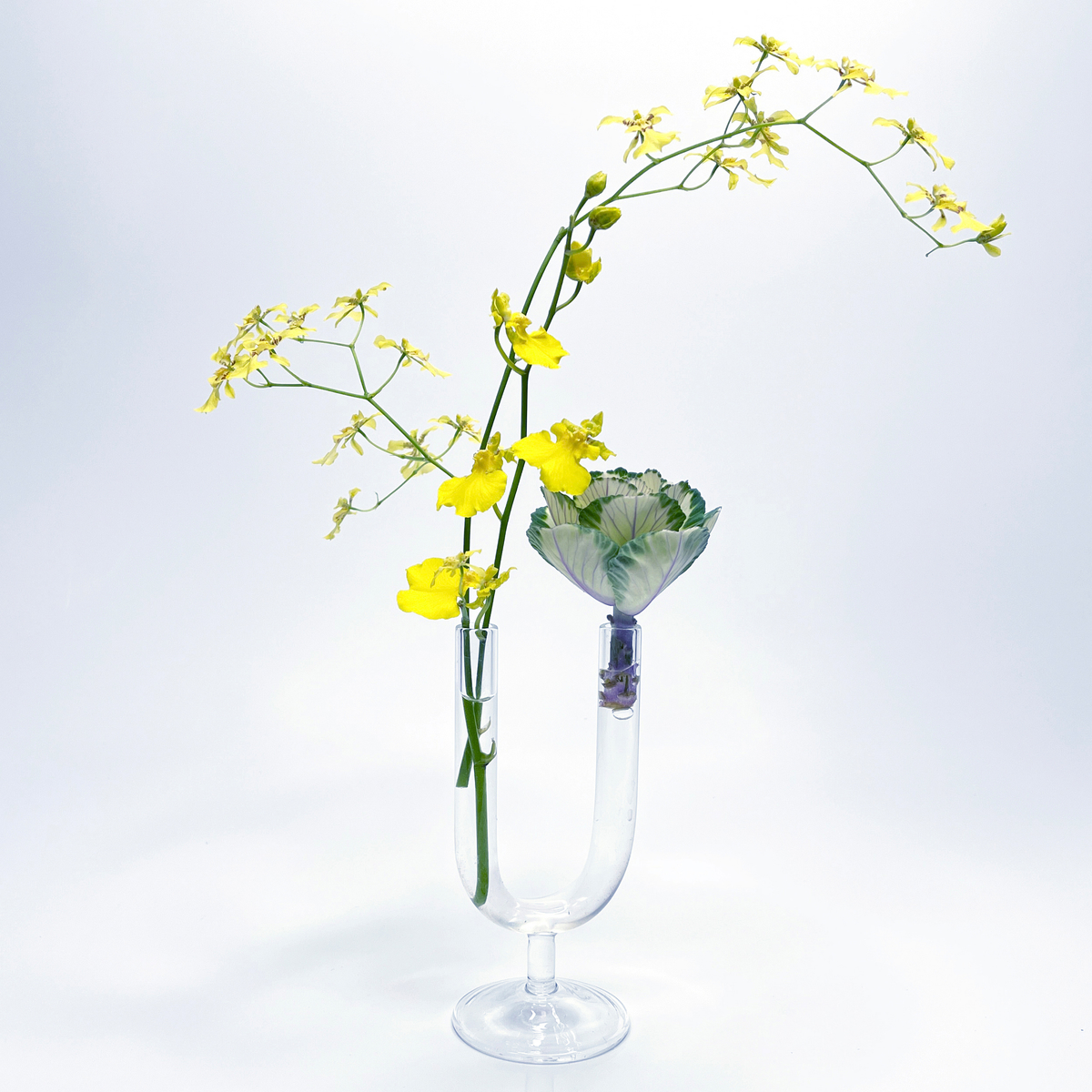 理化学ガラスの花瓶 MEDIFLA UNITY
