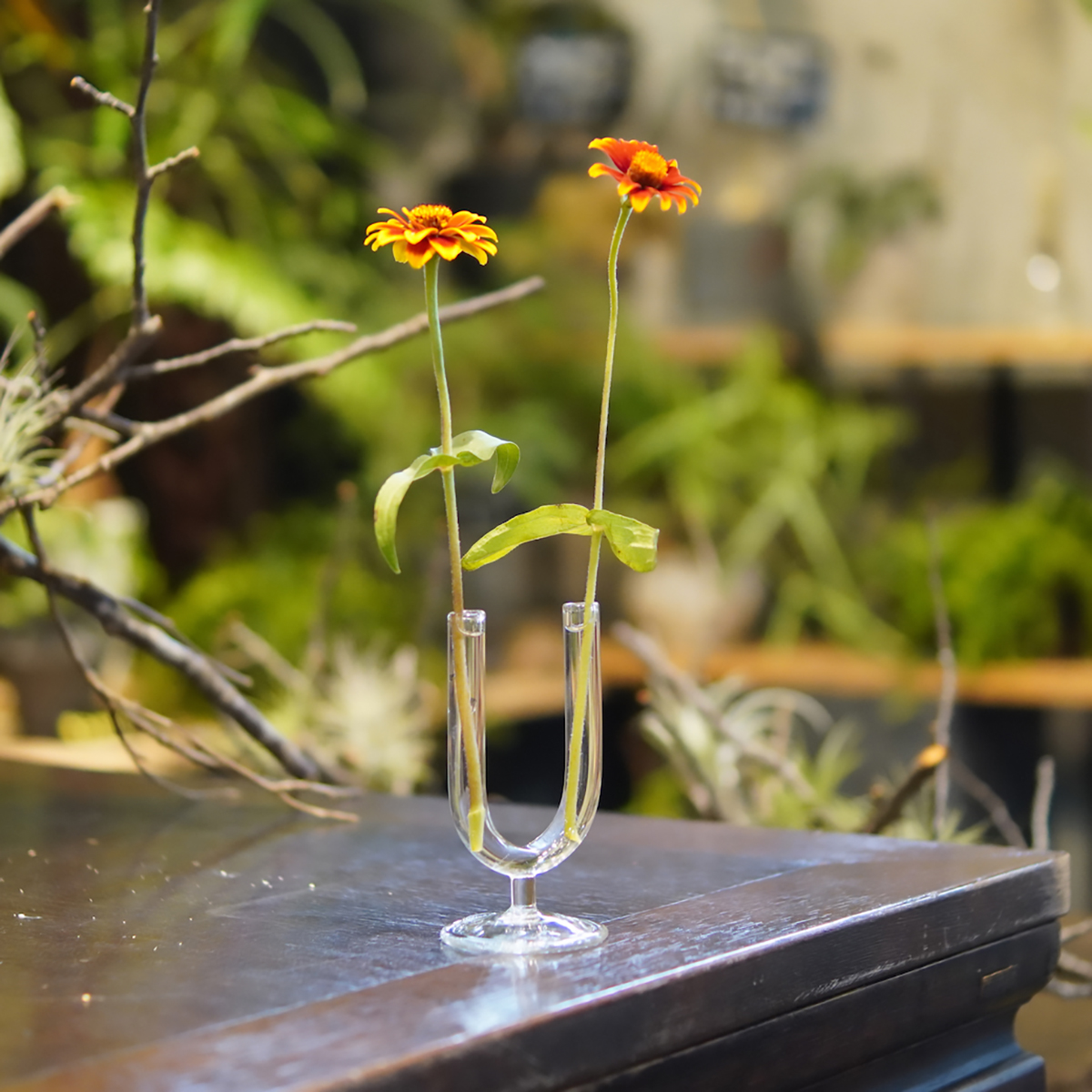 理化学ガラスの花瓶 MEDIFLA UNITY