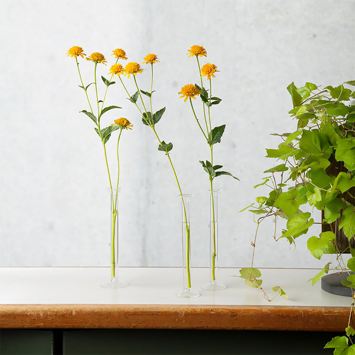 理化学ガラスの花瓶 MEDIFLA BRANCH