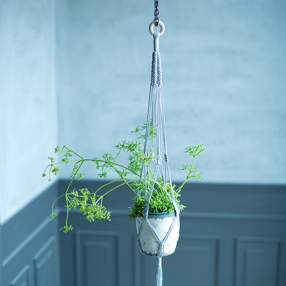 クロバー　◆作品本◆プラントハンガーゲージで作るお部屋を彩るプラントハンガー　７１－３２３