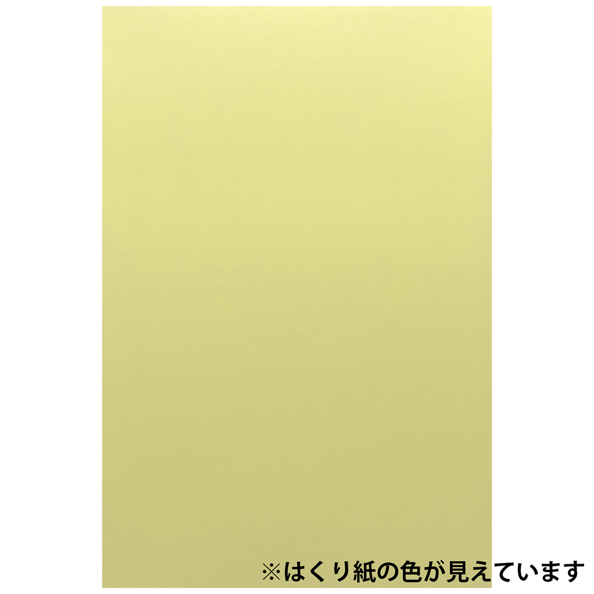 キャプテン　合皮の補修シート　１１ｃｍ×２０ｃｍ　ＣＰ１８７　６（半透明）