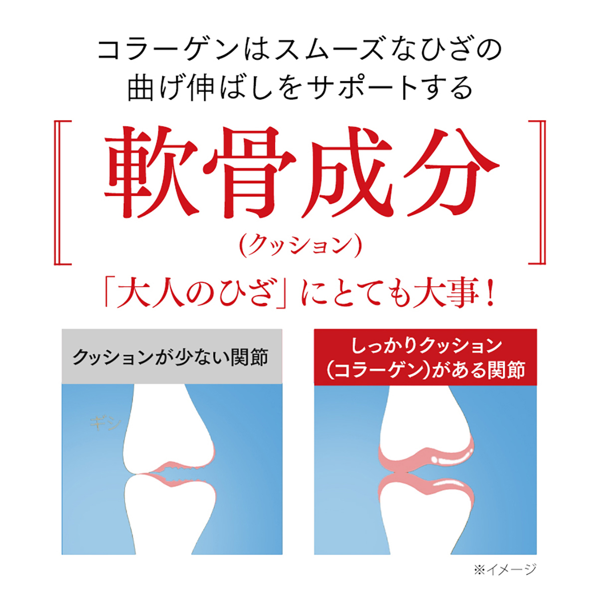 ひざサポートコラーゲン（150g） 260904