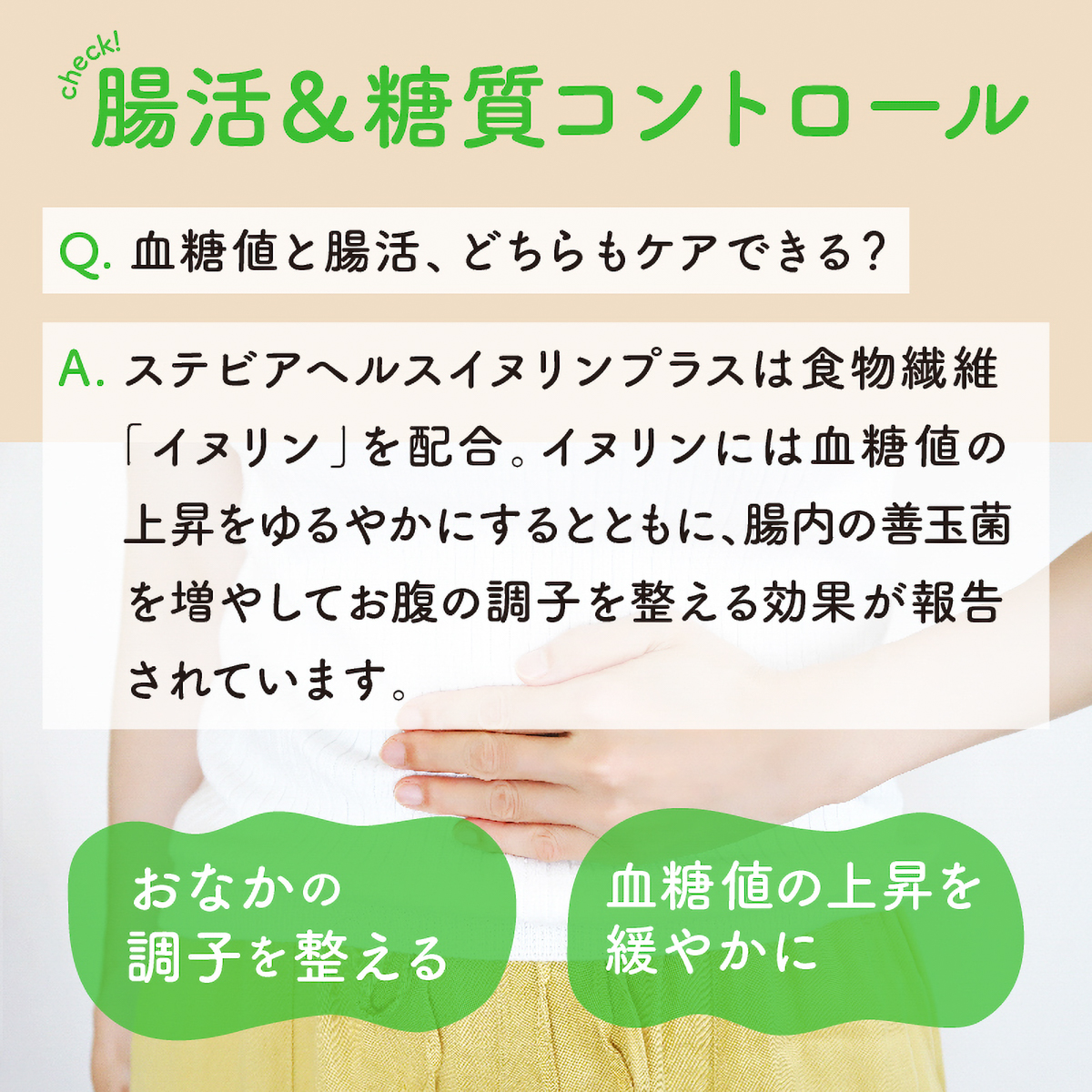 ステビアヘルス イヌリンプラス 300g