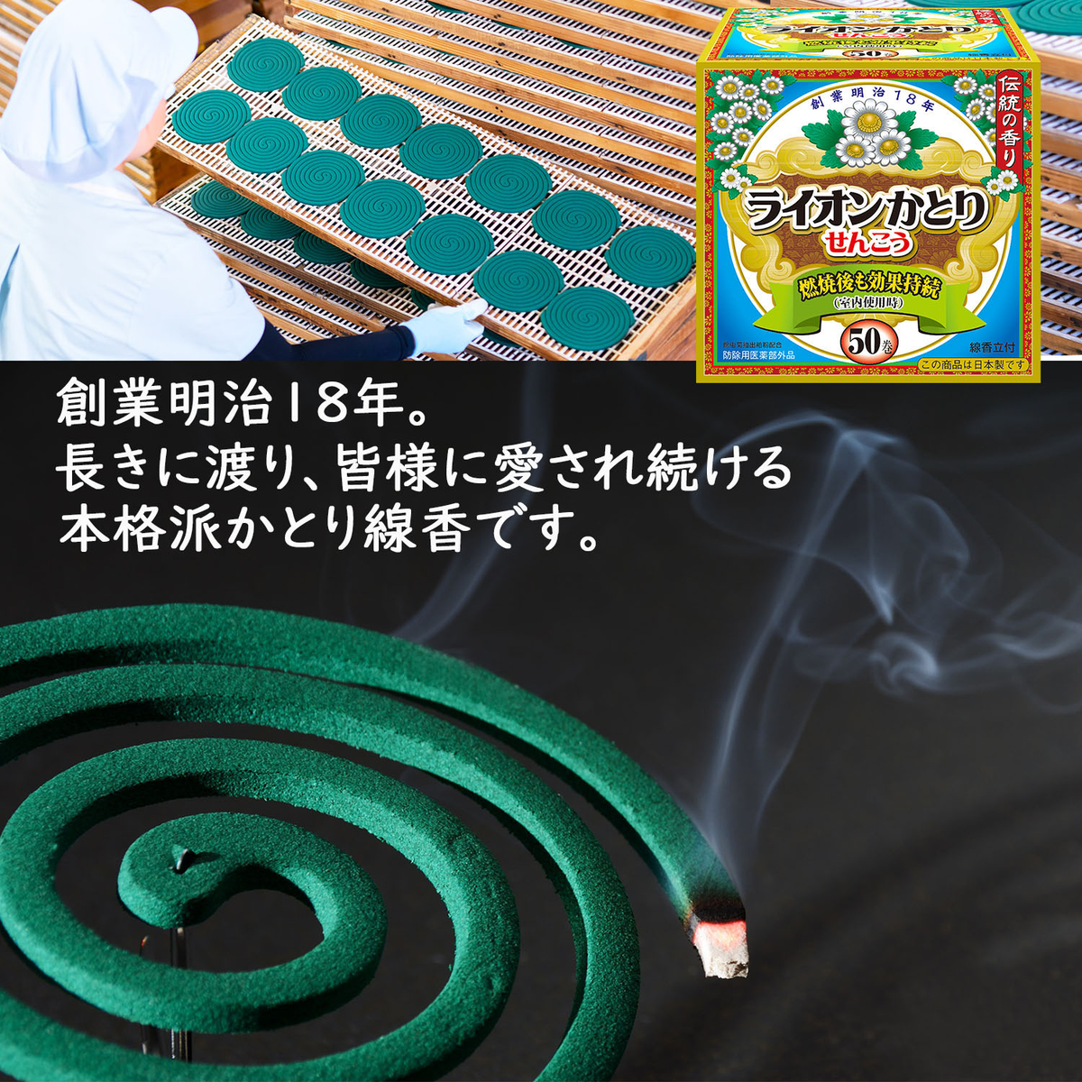 ライオンかとり線香　５０巻(箱)