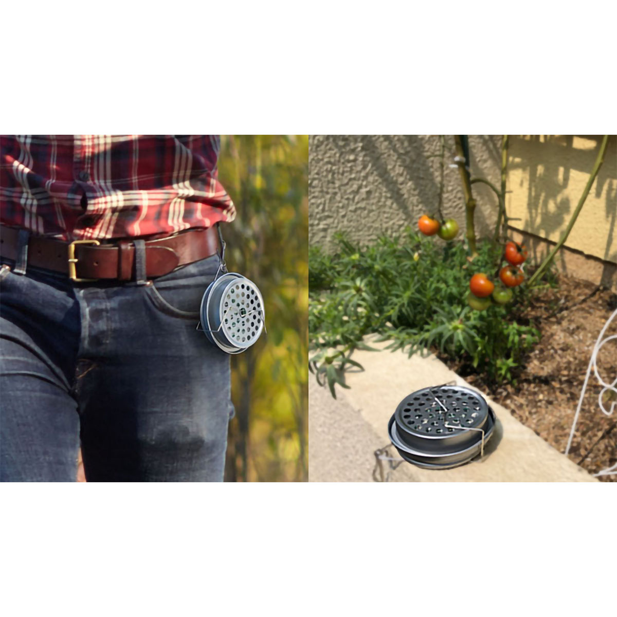 プチかとり厚太　吊り下げ線香皿セット　１０巻