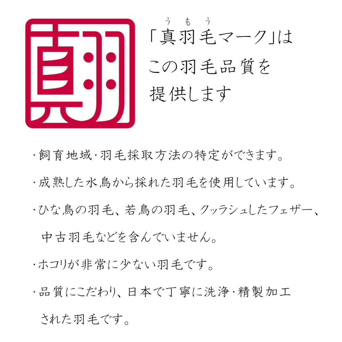 洗濯機で洗濯・乾燥までできるＷＤ90％羽毛肌布団