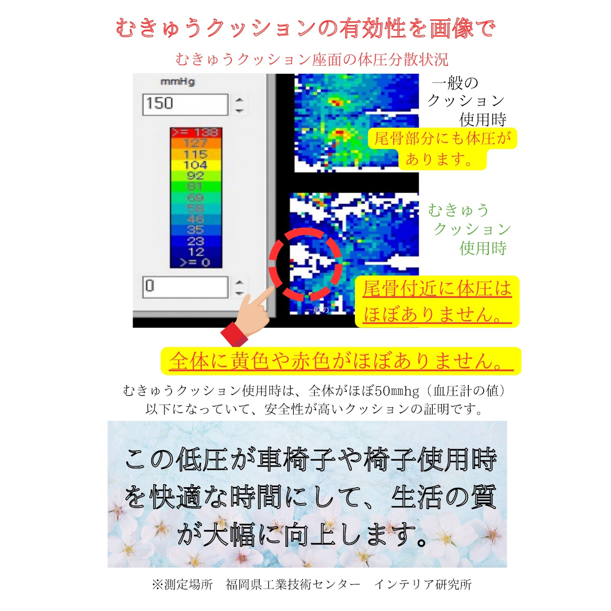 むきゅうクッション