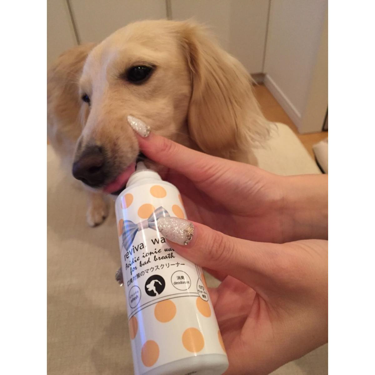 【ペット】リバイバルウォーター マウスクリーナー 100ml