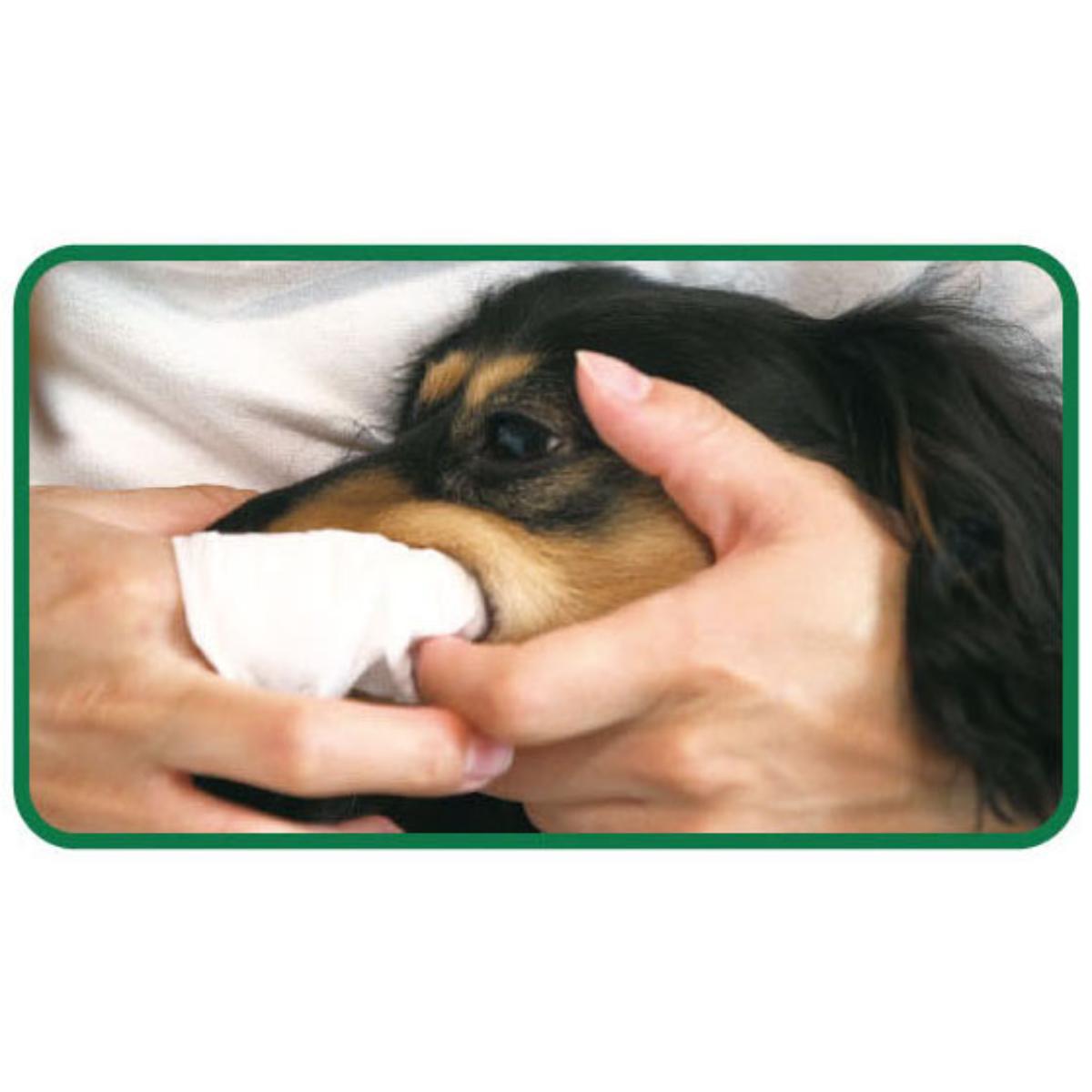 【ペット】PETKISS 歯みがきシート 30枚