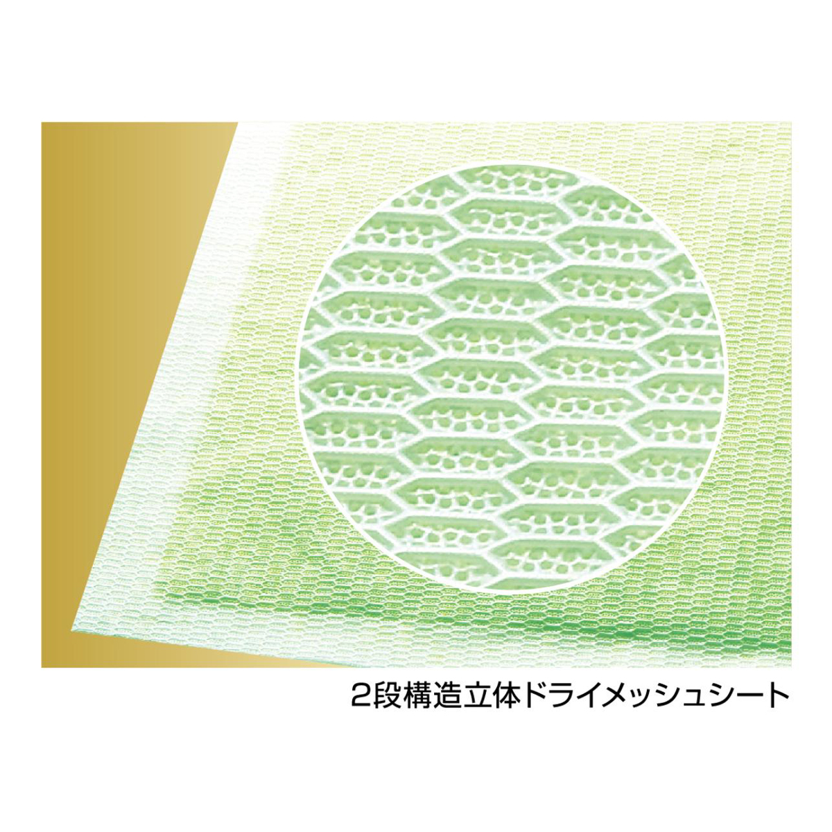 【ペット】瞬乾ペットシート Salari(サラリ)レギュラー50枚