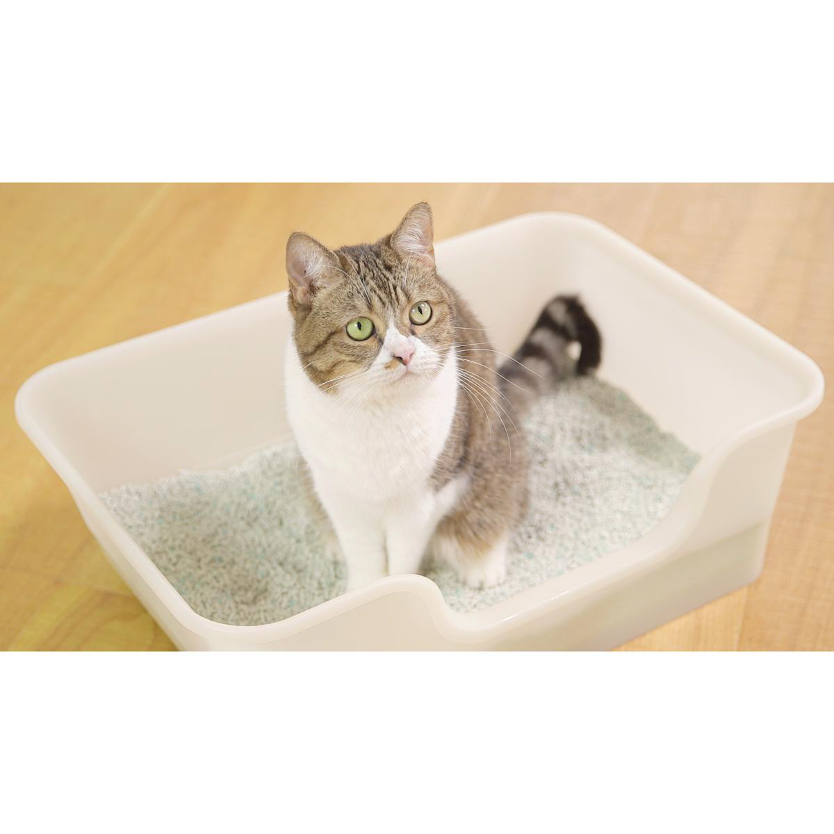 【ペット】獣医師開発 ニオイをとる砂専用 猫トイレ アイボリー