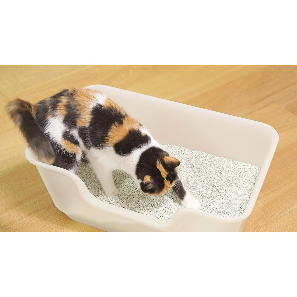 【ペット】獣医師開発 ニオイをとる砂専用 猫トイレ アイボリー