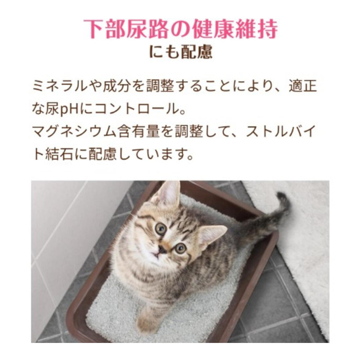 【ペット】メディファスアドバンス  関節・筋肉の健康維持 7歳頃から チキン味 1.15kg