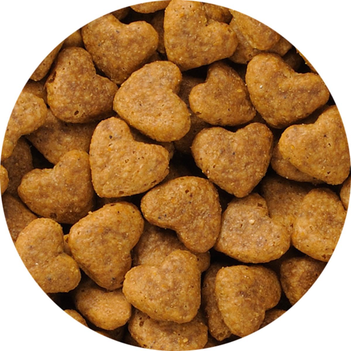 【ペット】ビューティープロ キャット 下部尿路の健康維持 1歳から フィッシュ味 1.4kg(280g×5袋)