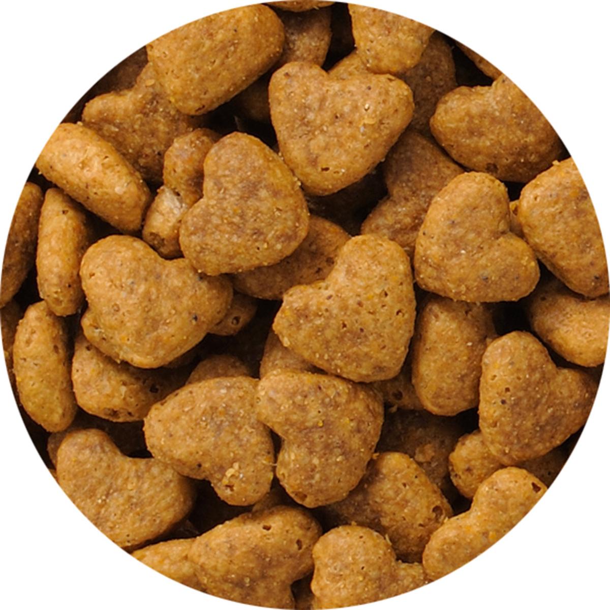 【ペット】ビューティープロ キャット 下部尿路の健康維持 11歳以上 フィッシュ味 1.4kg(280g×5袋)