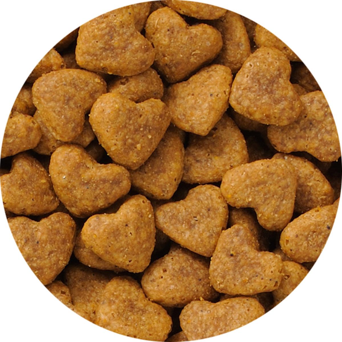 【ペット】ビューティープロ キャット 下部尿路の健康維持 低脂肪 1歳から フィッシュ味 1.4kg(280g×5)