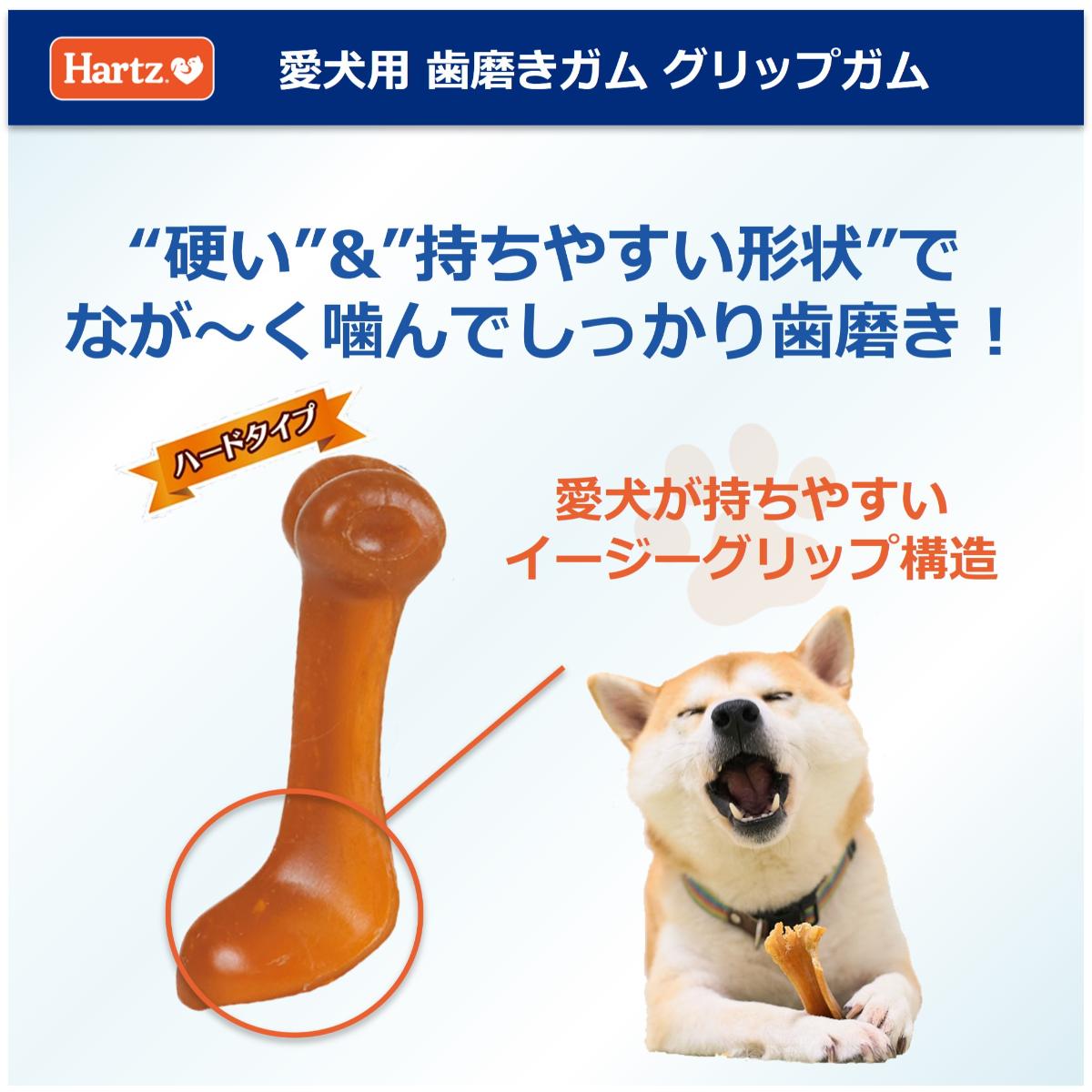 【アウトレット】【ペット】ハーツ グリップガム L 2本入 260228