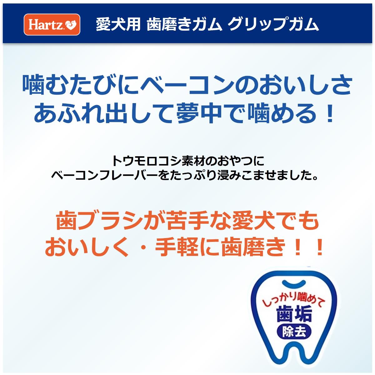 【アウトレット】【ペット】ハーツ グリップガム L 2本入 260228