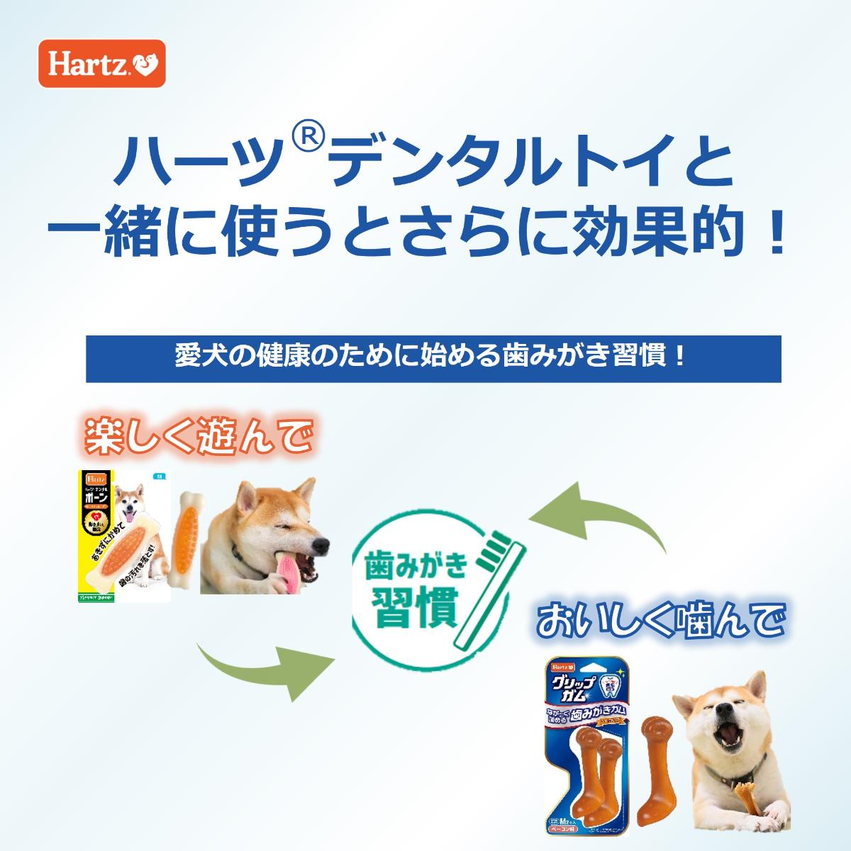 【アウトレット】【ペット】ハーツ グリップガム L 2本入 260228