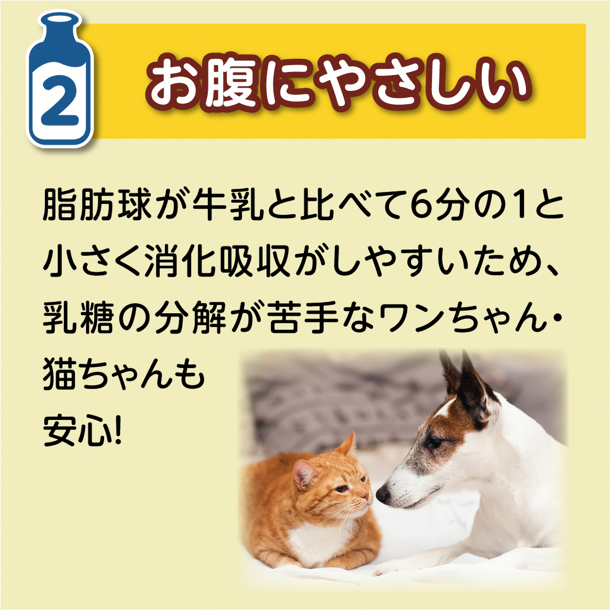 【ペット】ロイヤルゴートミルク 10g 260831