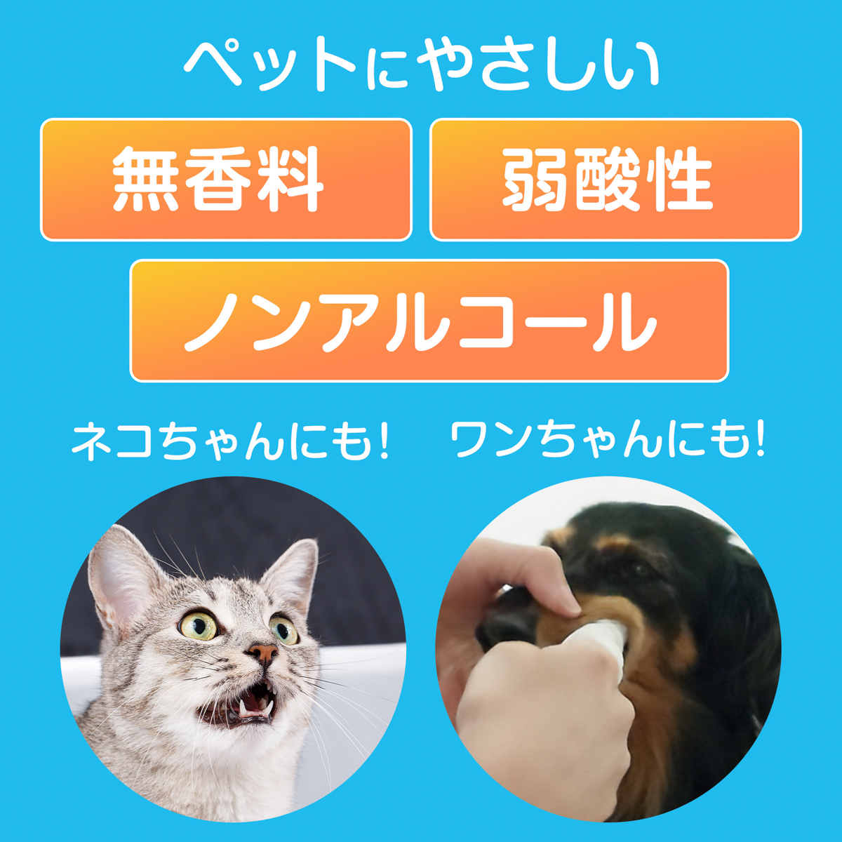 【ペット】歯みがきシート 32枚入