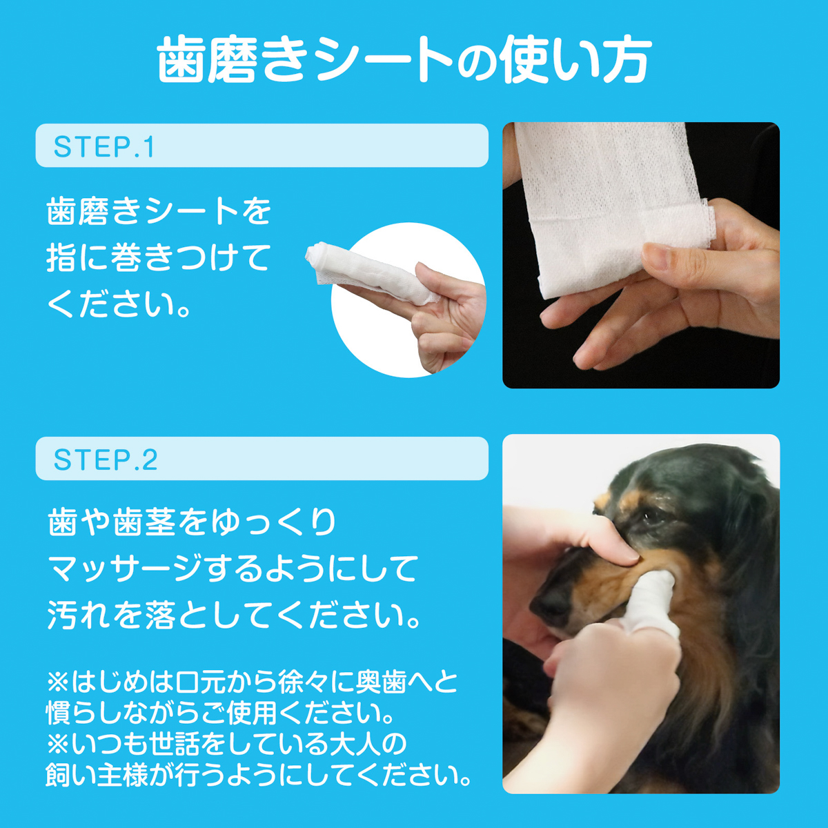 【ペット】歯みがきシート 32枚入