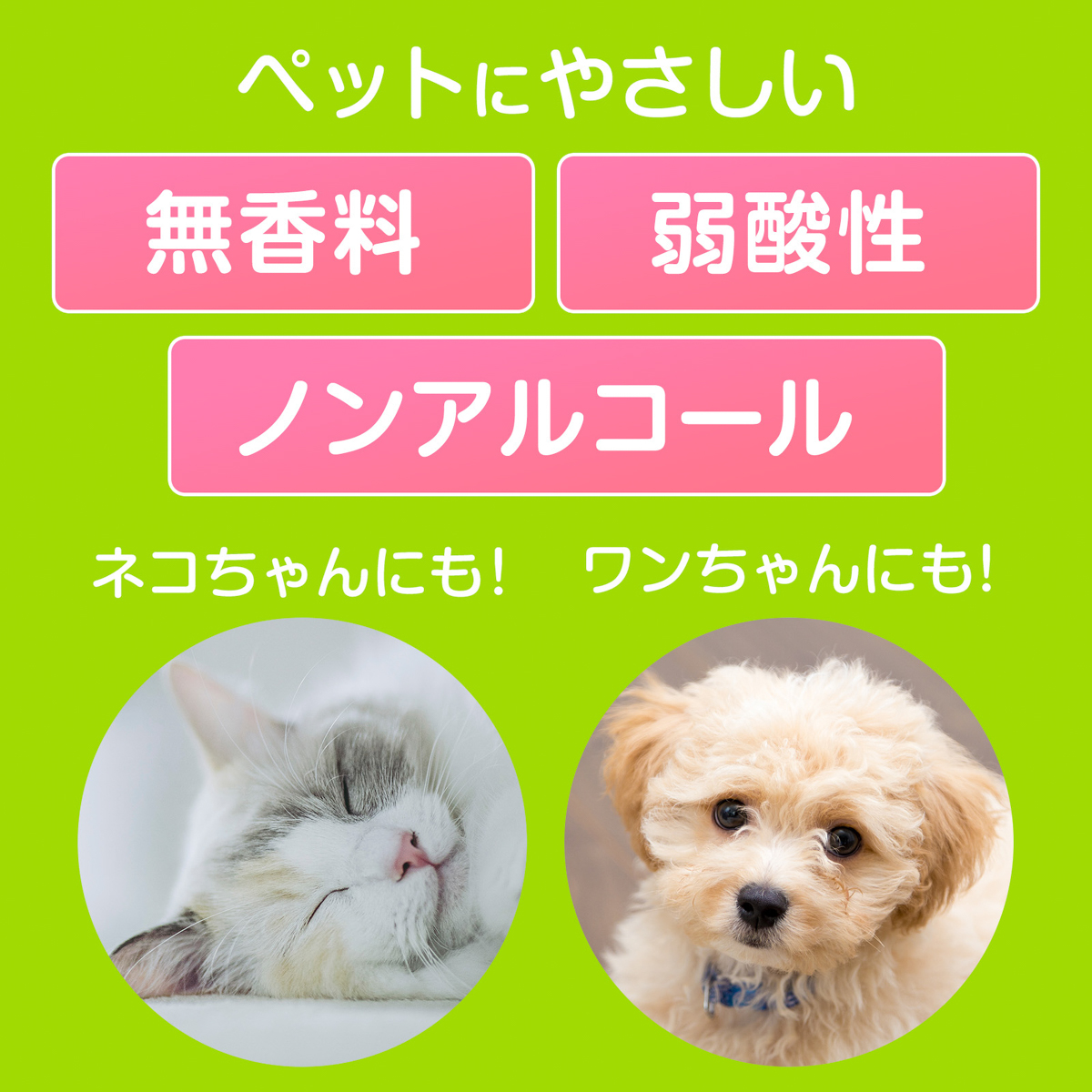 【ペット】目やにとりシート 32枚入
