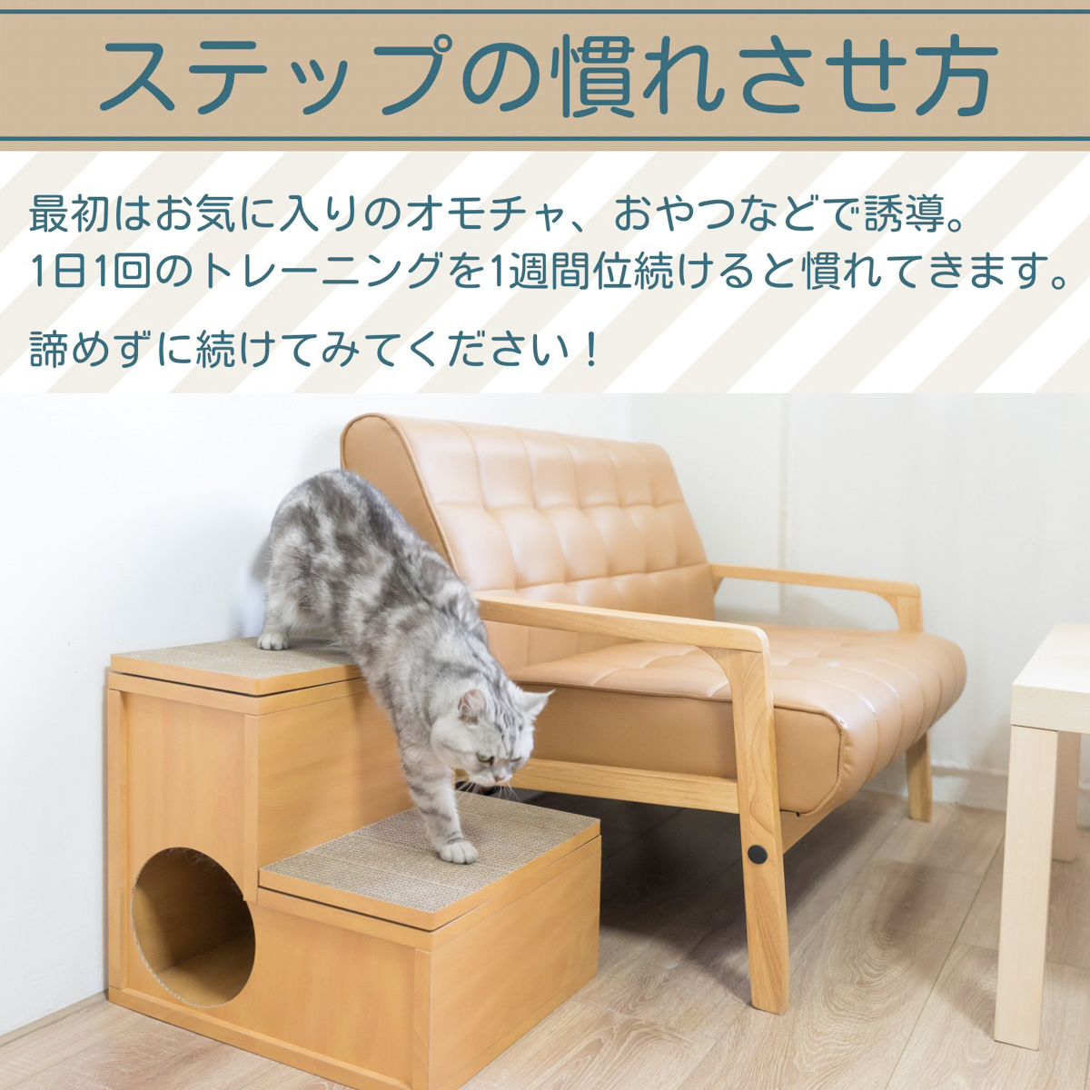 【ペット】HappyDays キャットステップ2段 爪とぎ2枚付き