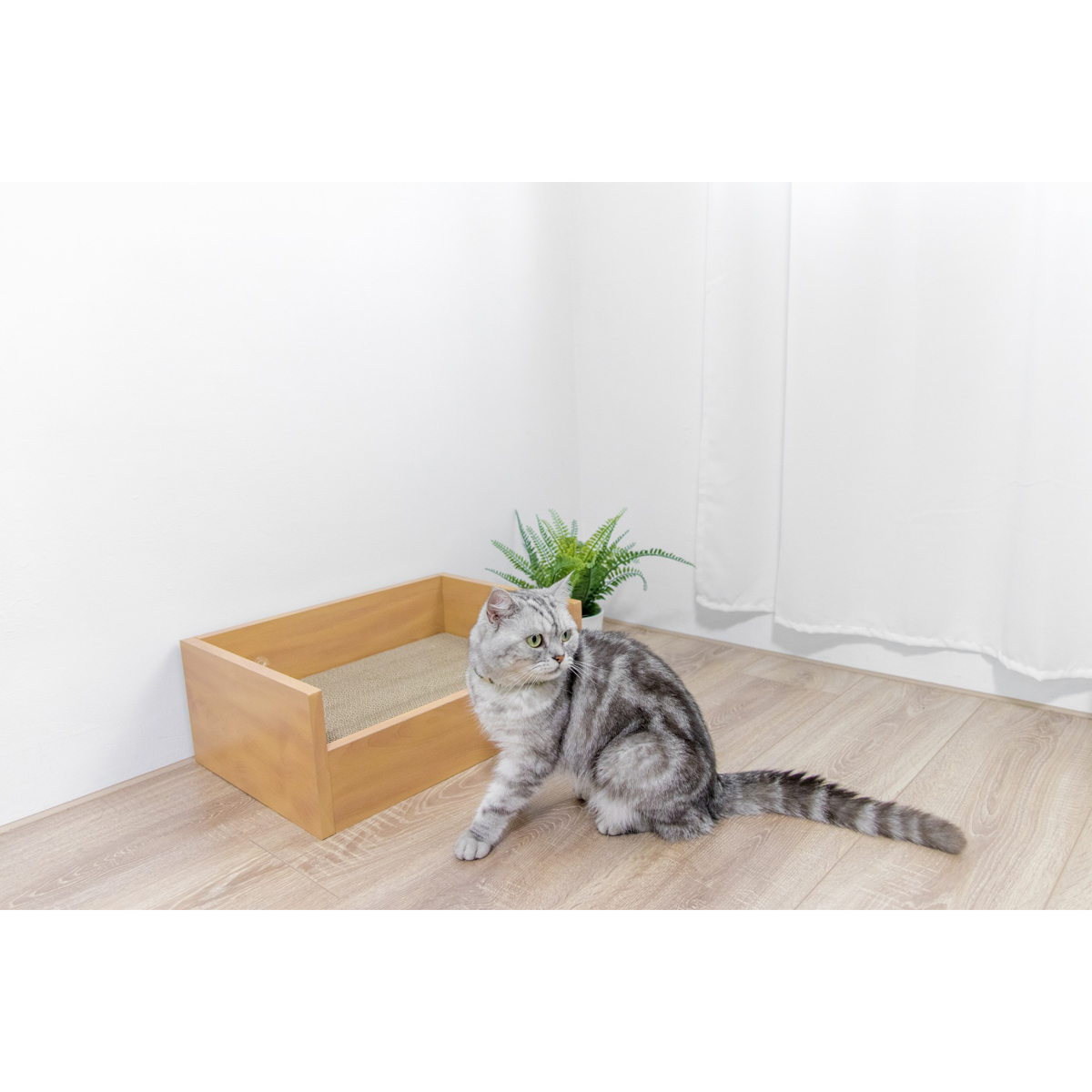 【ペット】HappyDays キャットベッド 本体 つめみがき付き