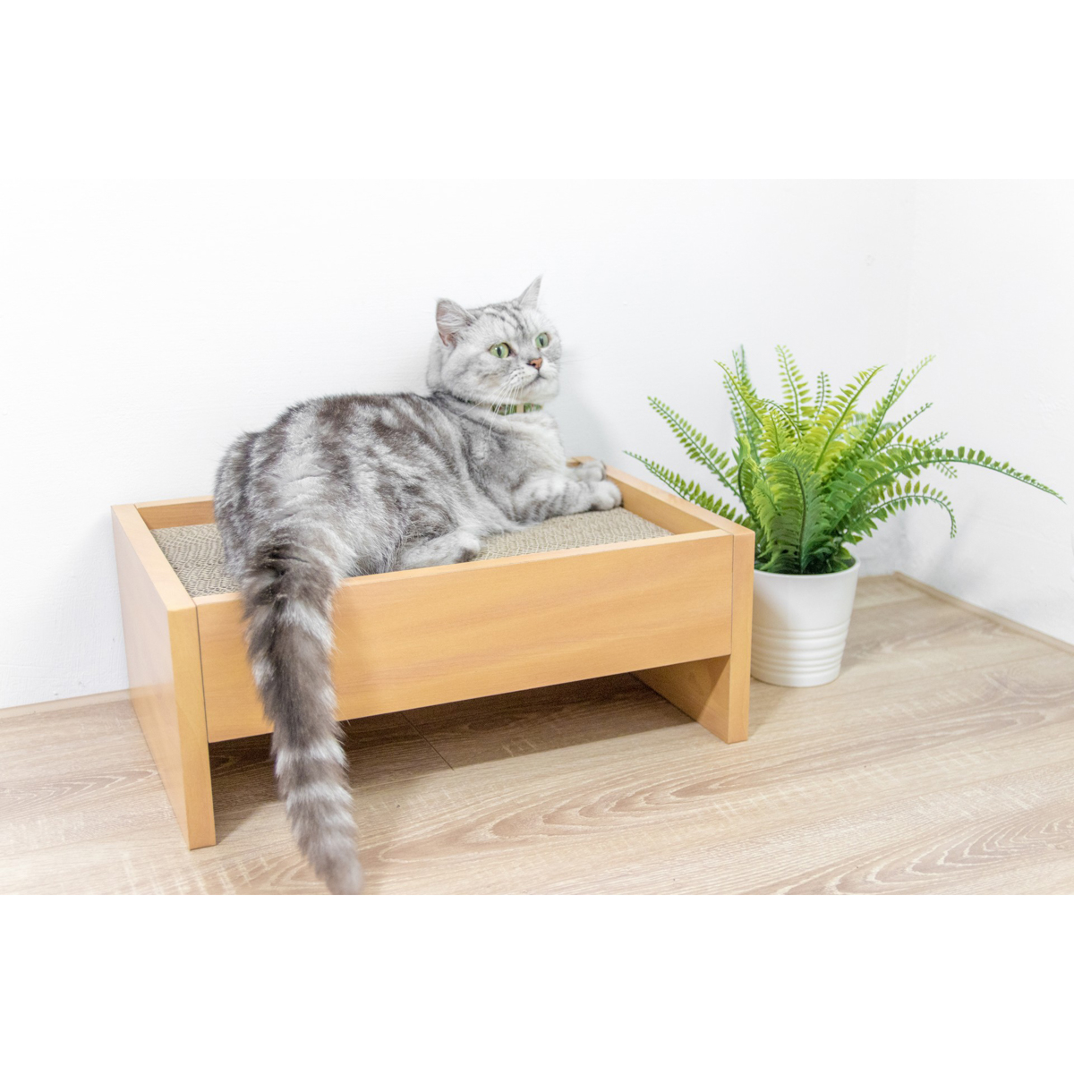 【ペット】HappyDays キャットベッド 本体 つめみがき付き