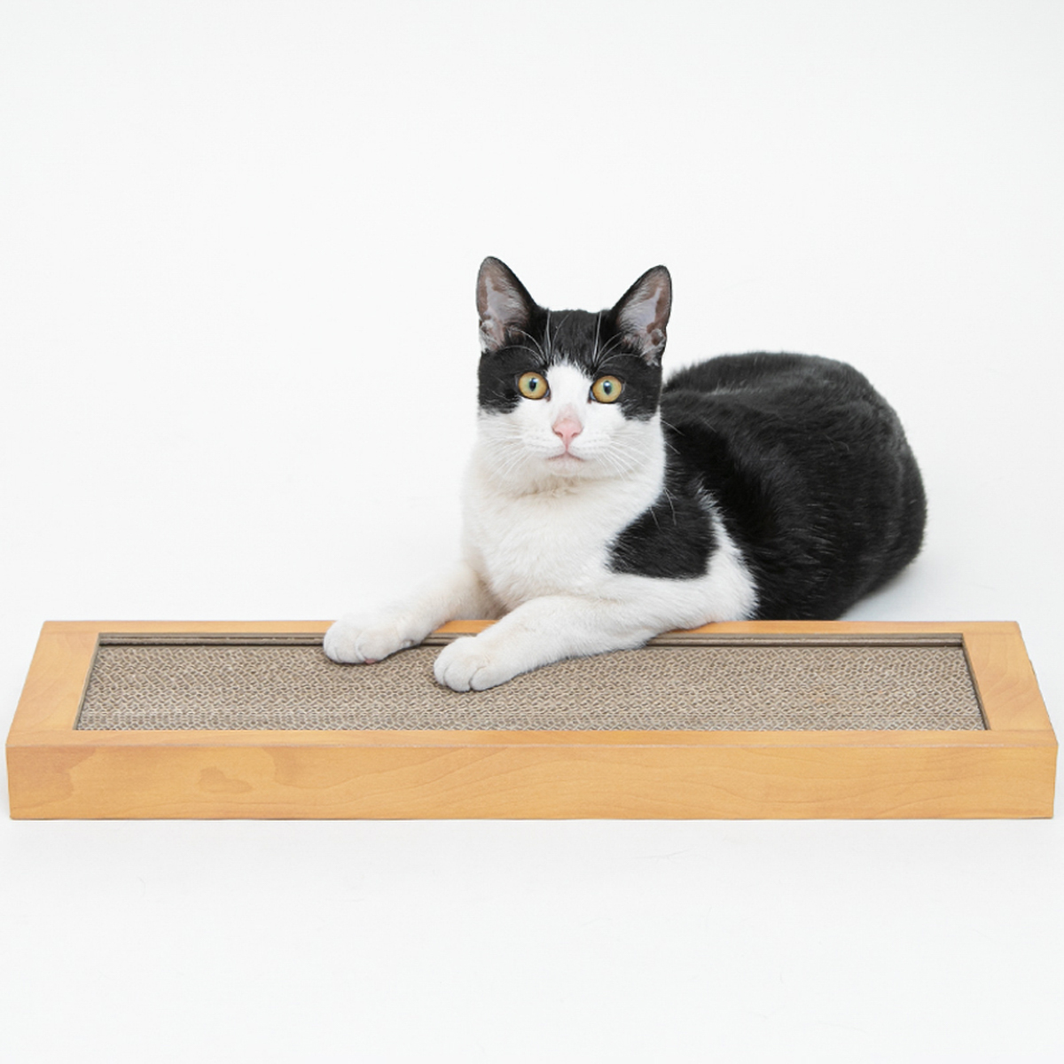 【ペット】HappyDays ゴミが出にくいつめとぎシングル