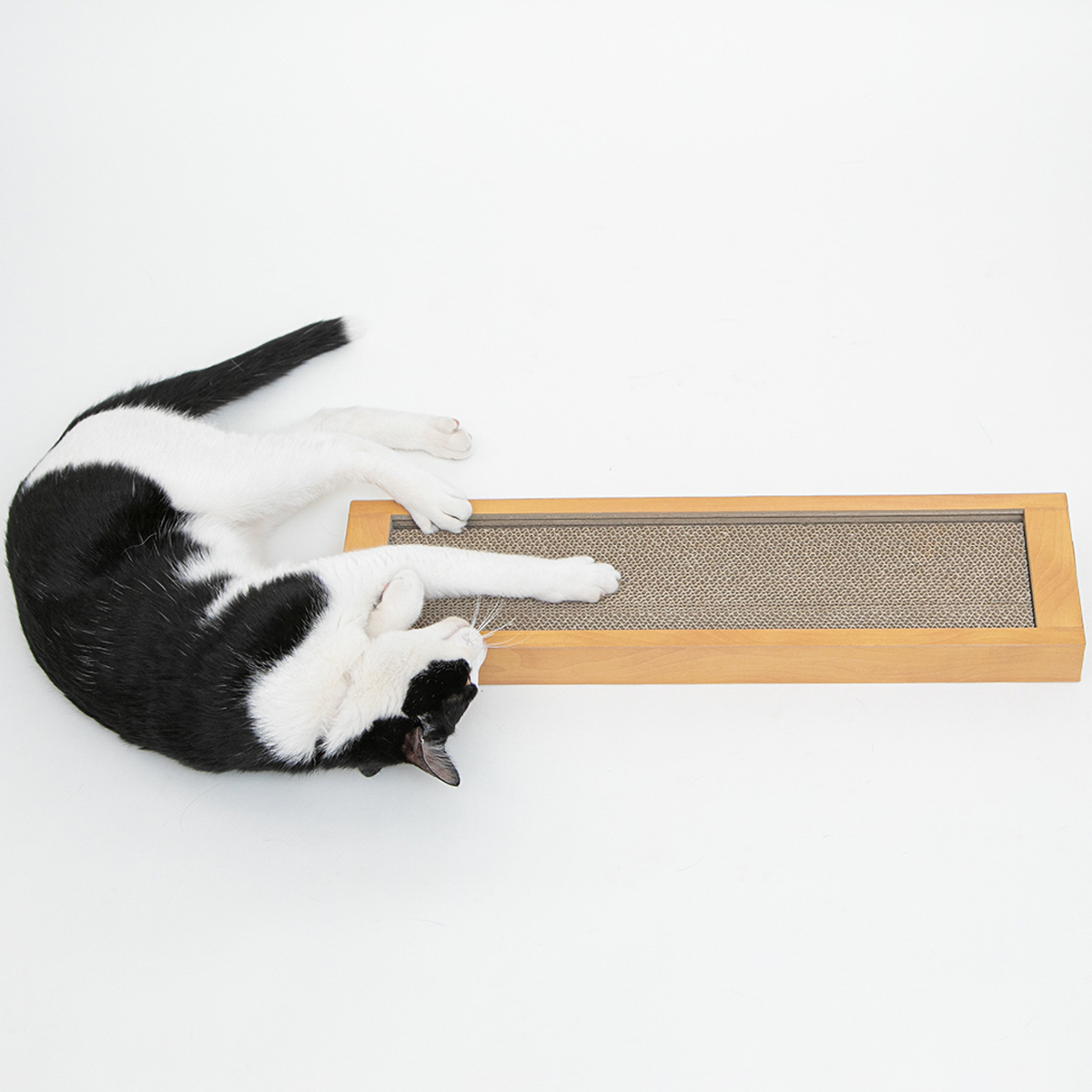 【ペット】HappyDays ゴミが出にくいつめとぎシングル