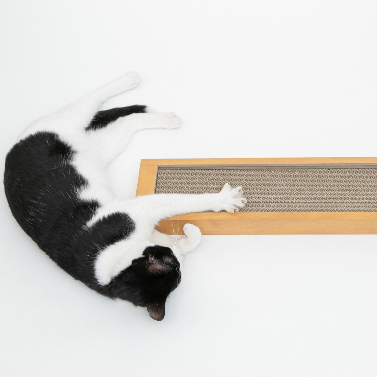 【ペット】HappyDays ゴミが出にくいつめとぎシングル