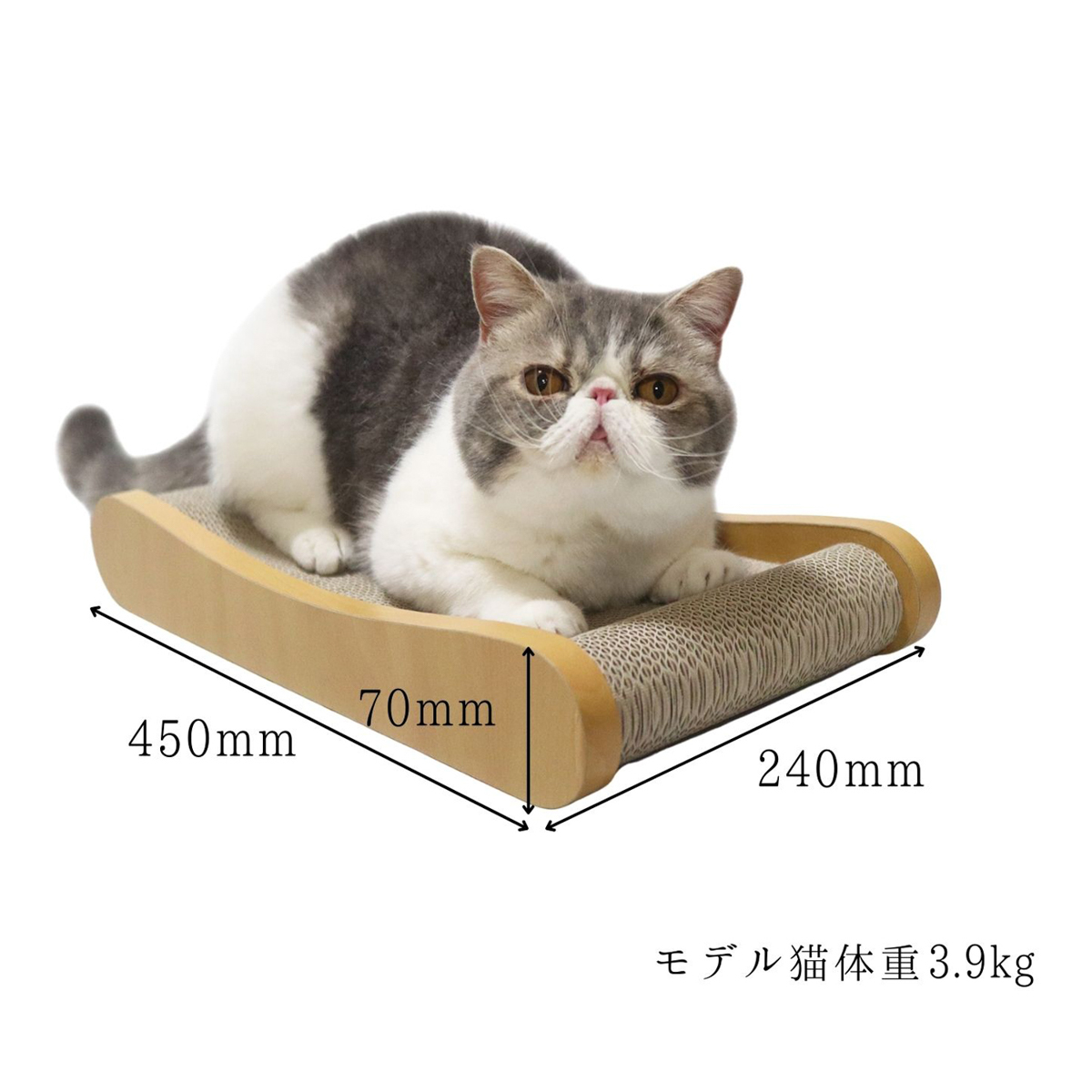 【ペット】HappyDays ゴミが出にくいつめとぎベッド M