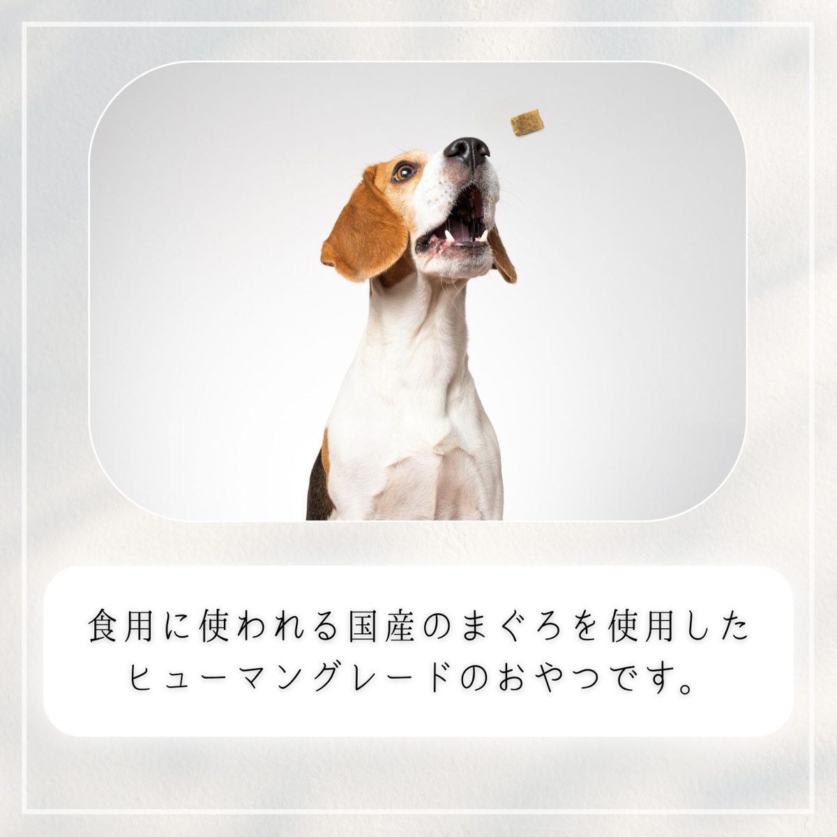 【ペット】HappyDays 国産まぐろチップ 犬用 50g