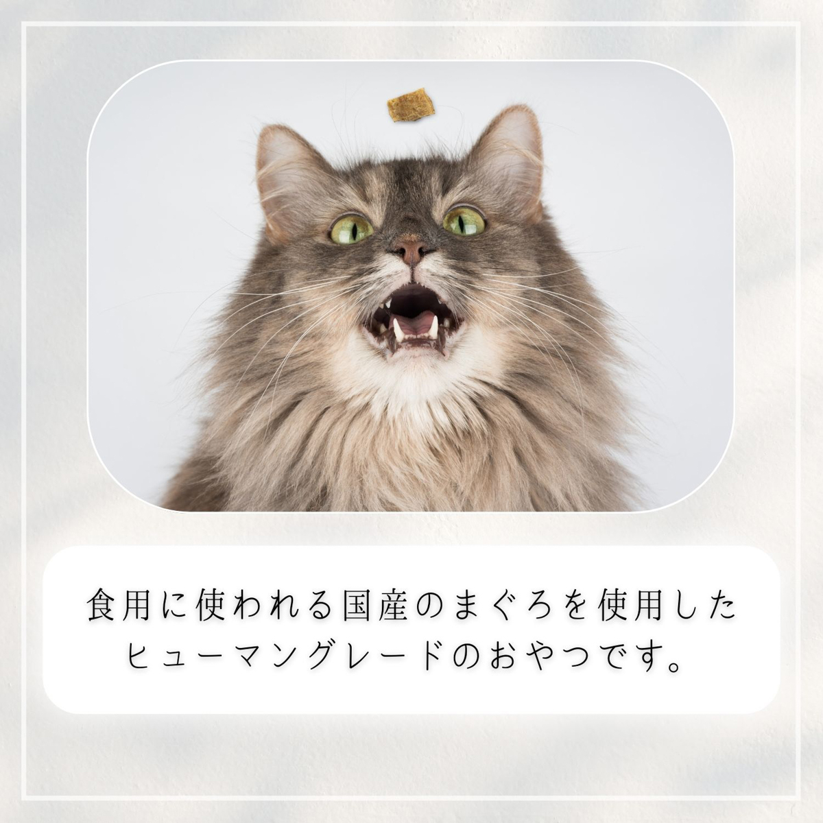 【ペット】HappyDays 国産まぐろチップ 猫用 30g 251231