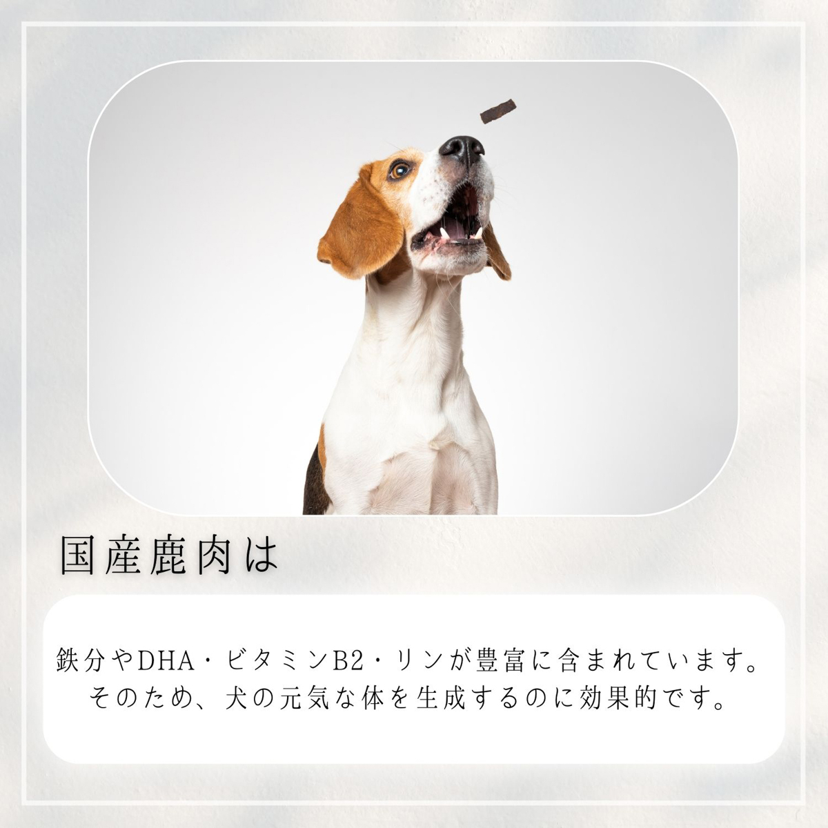 【ペット】HappyDays 国産鹿肉キューブ 犬用 30g 251231