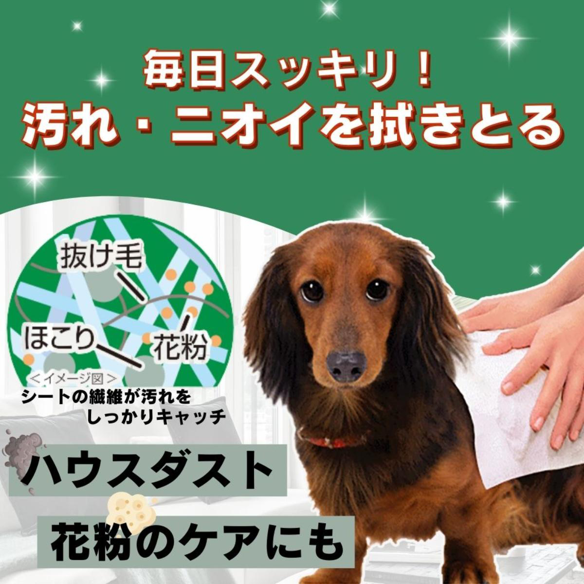 【ペット】シャンプータオル ペット用 つめかえ用 100枚