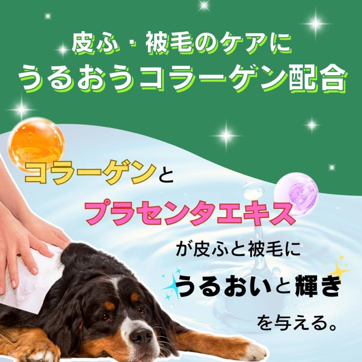 【ペット】シャンプータオル ペット用 つめかえ用 100枚