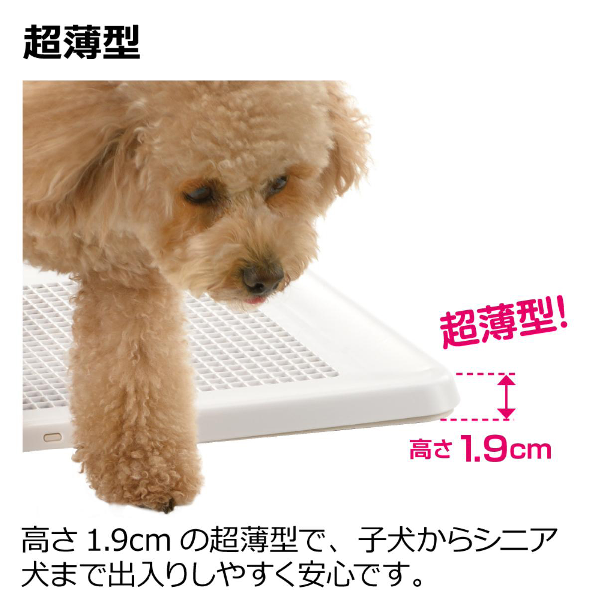 【ペット】お掃除簡単フラットトレー レギュラー アイボリー