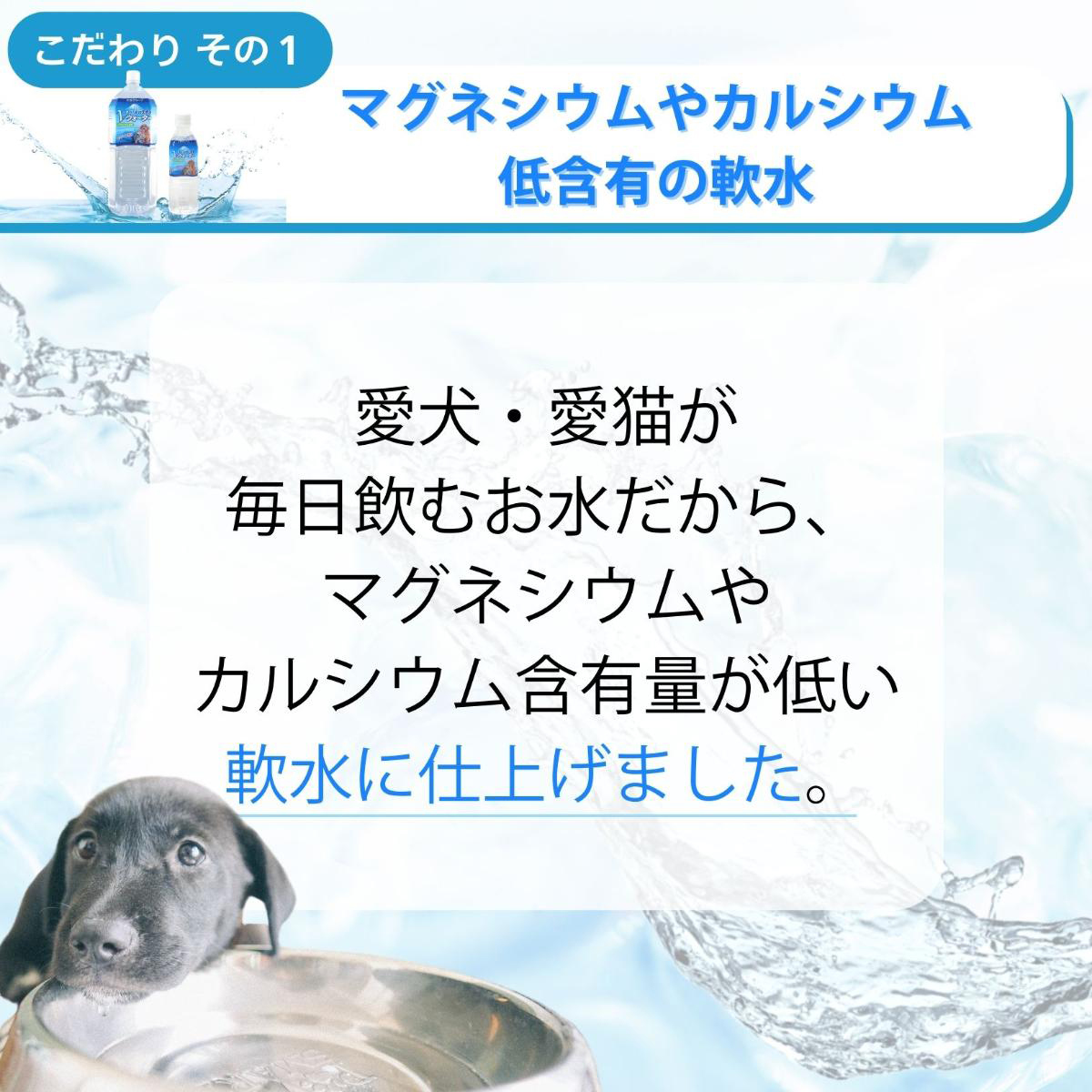 【ペット】ペットの天然水 Vウォーター 2L 270410