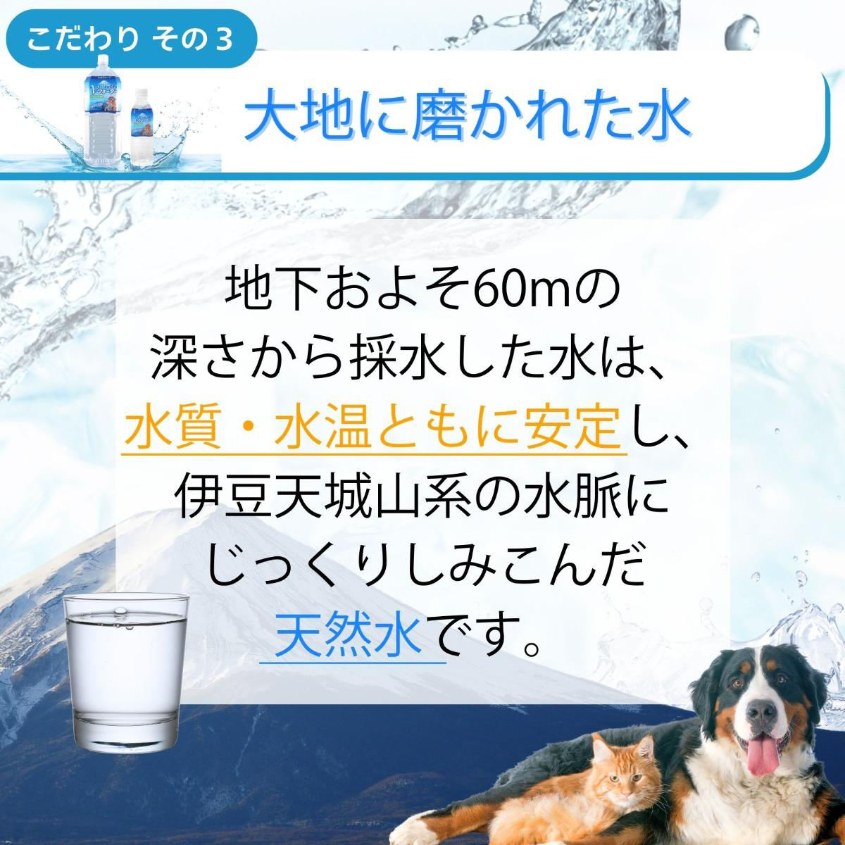 【ペット】ペットの天然水 Vウォーター 2L 270410