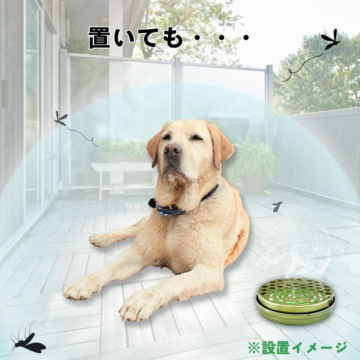【ペット】ペット用アース渦巻AC 48巻入