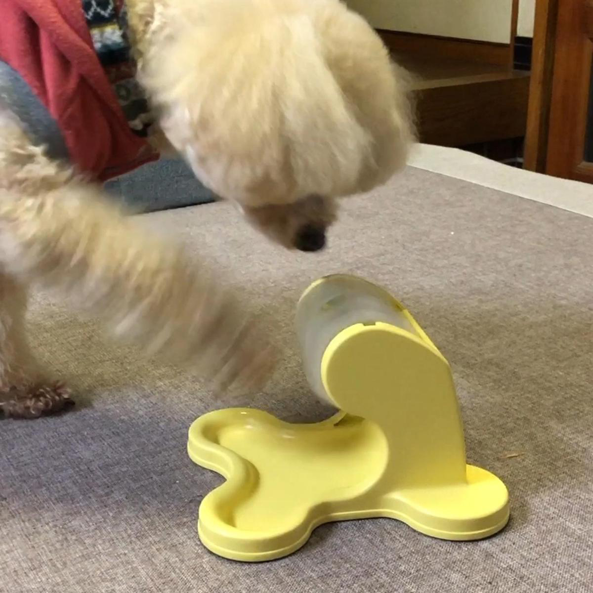 【ペット】わんこのでるでる自飯器