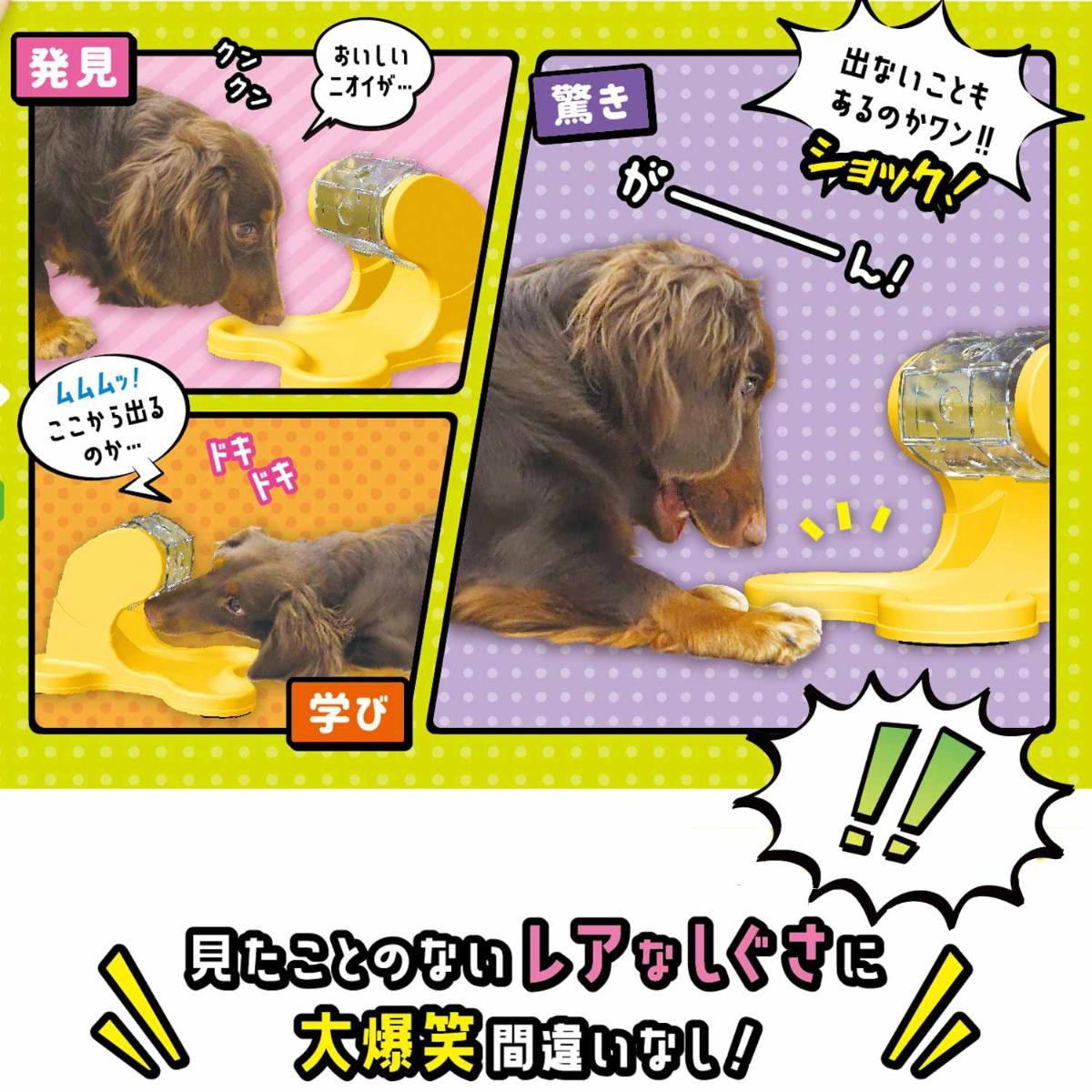 【ペット】わんこのでるでる自飯器