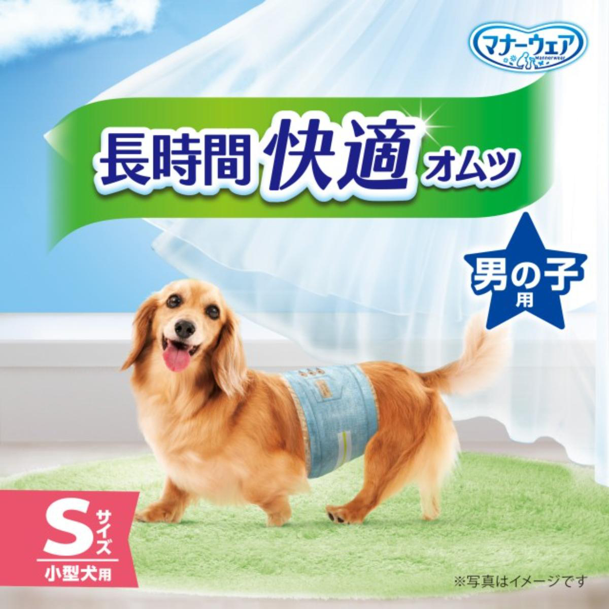 【ペット】マナーウェア 長時間快適オムツ 男の子用 S 42枚