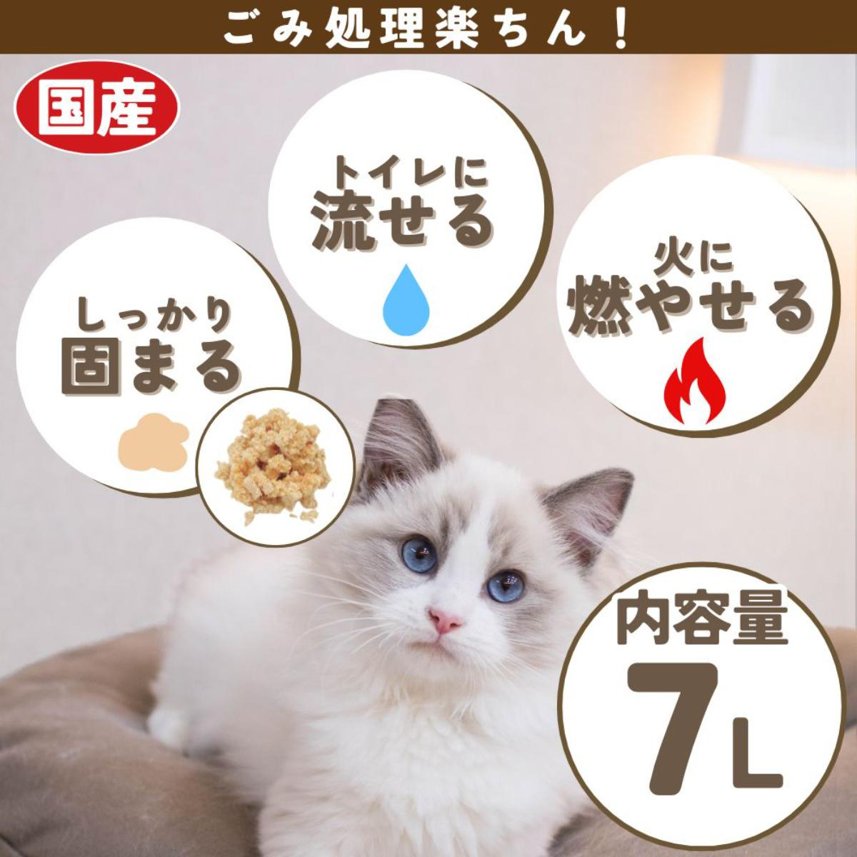猫の森ページです。 猫の森ハウス (@neconomorihouse) / X