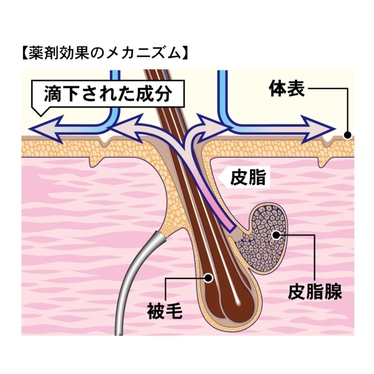 【ペット】薬用ペッツテクト＋フォースガード 小型犬用 3本入