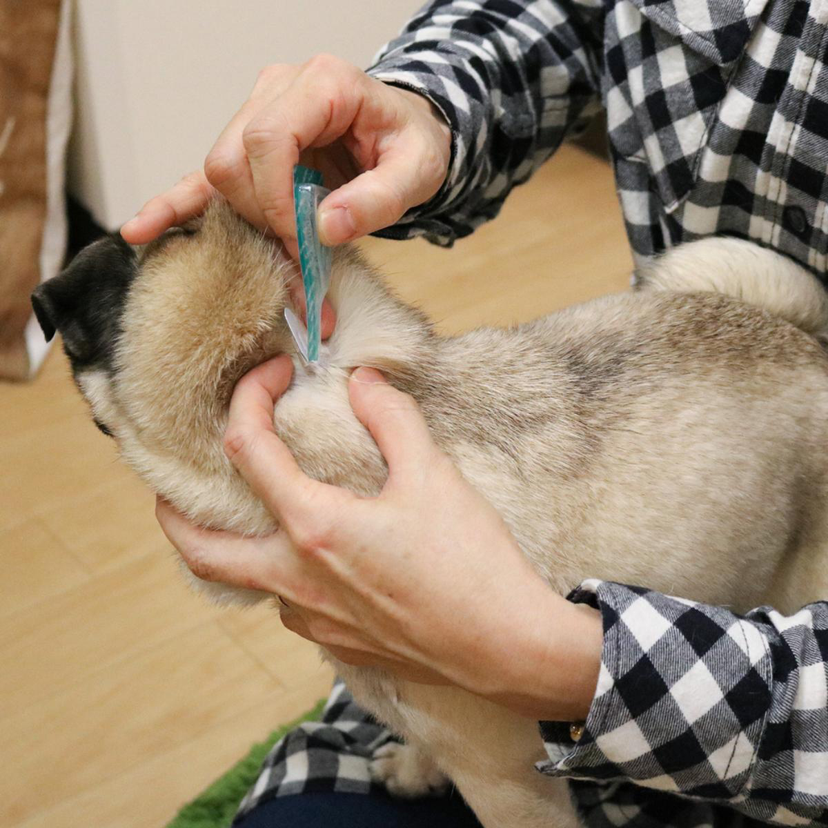 【ペット】薬用ペッツテクト+フォースガード 中型犬用 3本入